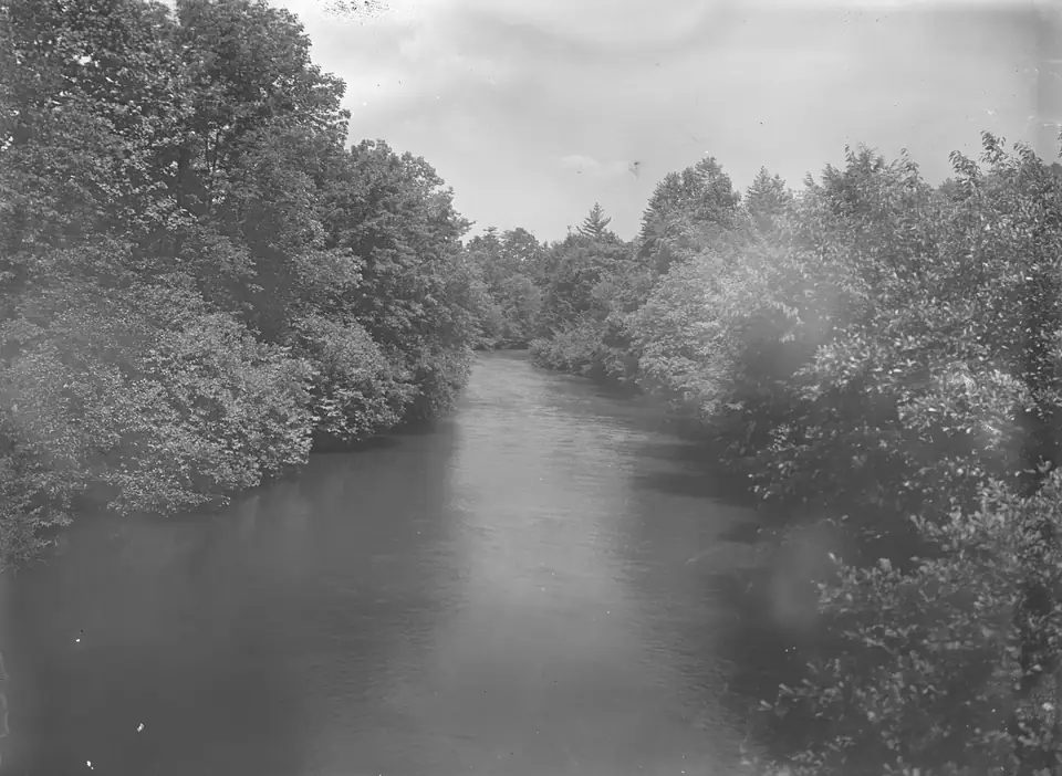 Black-and-white glass-plate photograph of a quiet river flowing away between dense, leafy trees on both banks, with darkened plate edges and some scratches.