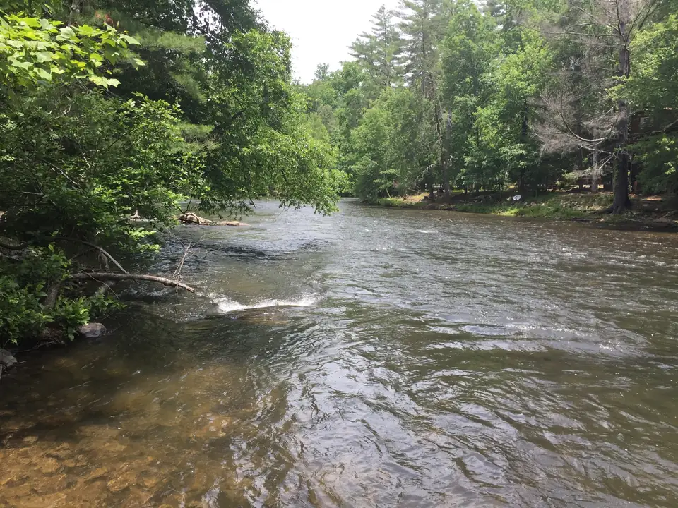 Shallow river with riffles and a small rapid running between leafy green trees that overhang both banks, clear water showing rocks near the bottom left.